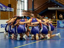 Image result for Futureprint Tmts Netball Club