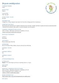 Attēlu rezultāti vaicājumam “Bryum amblyodon”