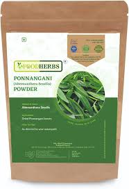 Attēlu rezultāti vaicājumam “Badhamia affinis sessile”