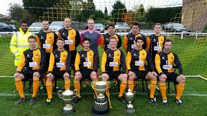 Image result for Old Wokingians Football Club