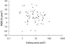 Attēlu rezultāti vaicājumam “Neckera pennata sporophyte”