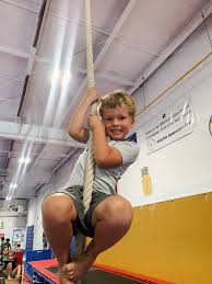 Image result for Kingston Gymnastics