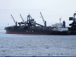 Image result for owl ship