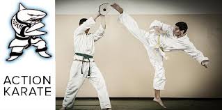 Image result for Action Karate