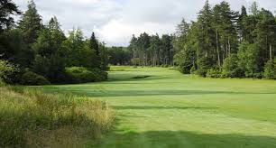 Image result for Garesfield Golf Club