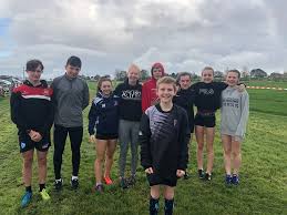 Image result for Pembrokeshire Harriers