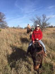 Image result for Old Park Riding Stables