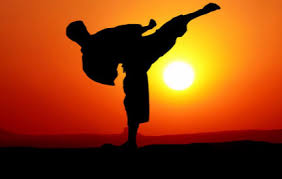 Image result for Mirfield Martial Arts Club