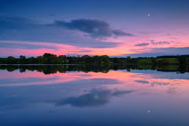 Image result for Solway