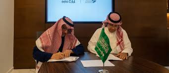 Image result for Falcon Sa Club