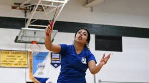 Image result for Meadow Sports Badminton Club