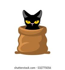 Image result for Black Cat Sac