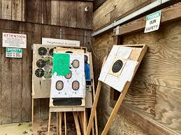 Image result for Property Gun and Punt Club