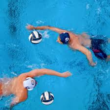 Image result for York University Swimming & Water Polo Club