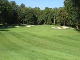 Image result for Green Haworth Golf Club