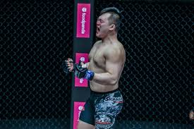 Image result for Chiltern MMA