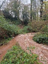 Image result for Ashcombe Valley Archers