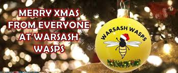 Image result for Warsash Wasps Sports & Football Club