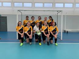 Image result for York University Futsal Club