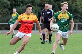 Image result for Patrick Sarsfield Gaelic Athletic Club