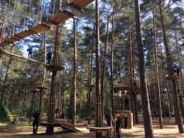 Image result for The Go Ape Experience (Swinley Forest)