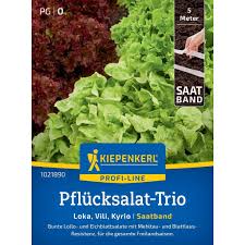 Image result for Pflücksalat
