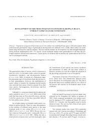 Attēlu rezultāti vaicājumam “Pogonatum urnigerum macro”