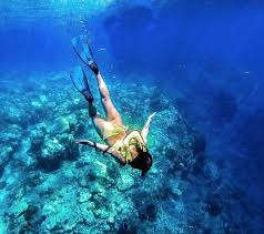 Image result for Ruislip Snorkelling Club