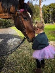 Image result for Black Horse Ballooning Club