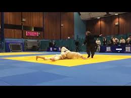 Image result for Court Lane Judo Club