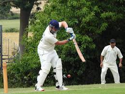 Image result for Aldwick Cricket Club