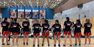 Image result for Raychem Netball Club