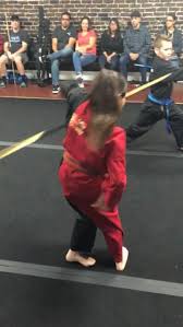 Image result for Villatoro Bushido Martial Arts