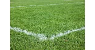 Image result for Burnt Ash (Bexley) Hockey Club