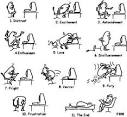 Software Engineering