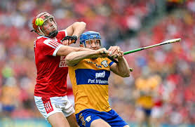 Image result for Clarehurlers