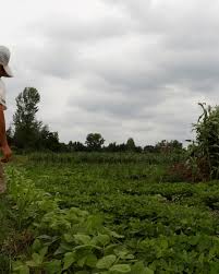 Image result for ローン 借金で死ぬ