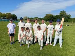 Image result for Halstead Colts Cricket Club