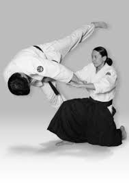 Image result for Goryukai Aikido Yoshinkan (Chichester)