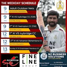 Image result for Yelverton Bohemians Cricket Club