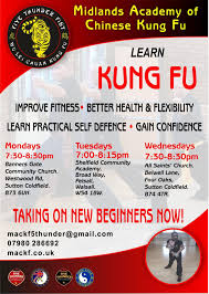 Image result for Midlands Wing Chun