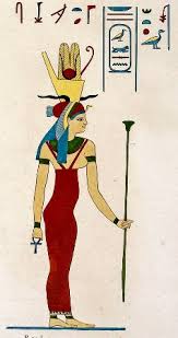 Image result for Orkney Octopush Club