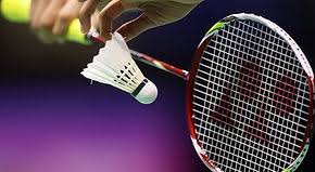 Image result for Lewes Junior Badminton Club
