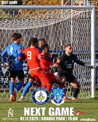 Image result for Grange Park FC