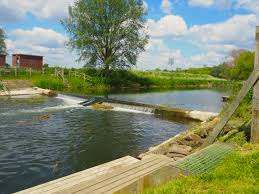 Image result for Stour Valley Canoe Club