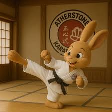 Image result for Atherstone Karate Club