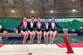 Image result for West Lothian Artistic Gymnastic Club