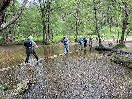 Image result for Stourbridge HF Rambling Club