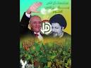 Amal Movement