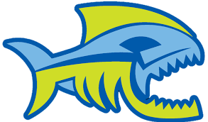 Image result for Sawston Piranhas Octopush Club